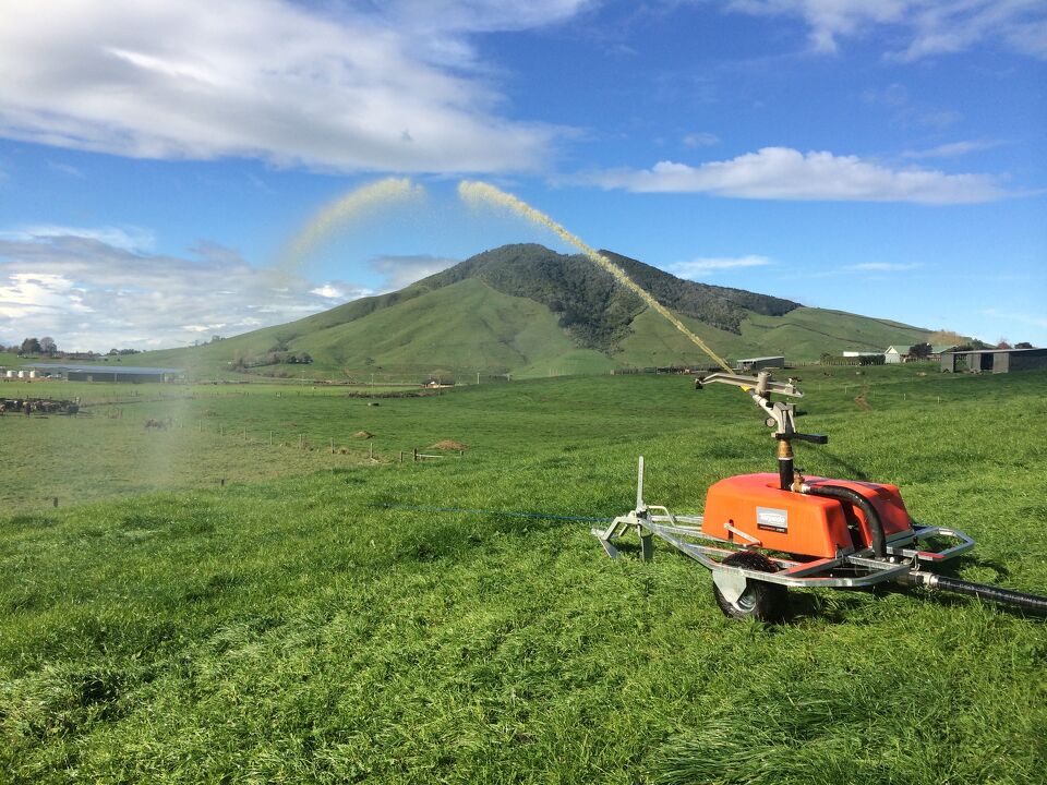 Torpedo in Action - Pumpn